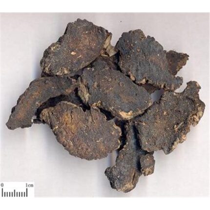 33773 3379149005717 shengdi rehmannia glutinosa 100g