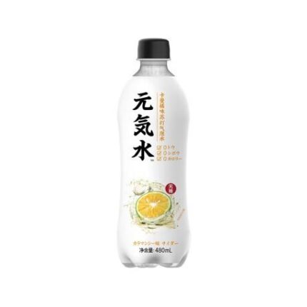 34948 6970399920439 bevanda al gusto al citrus yuanqishui yqsl 480ml