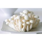 41928 8719324855747 funghi white shimeiji baiyugu 150g