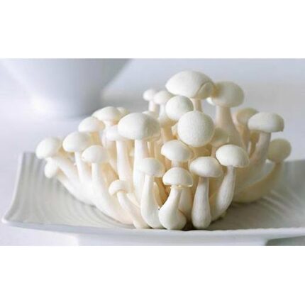 41928 8719324855747 funghi white shimeiji baiyugu 150g
