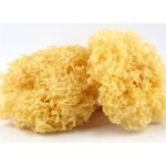 42872 6971867971175 baimuer funghi bianchi secchi 60g