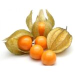 43374 4000007009354 phisalis 100g