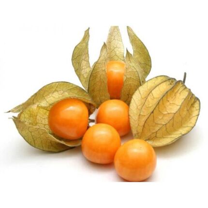 43374 4000007009354 phisalis 100g