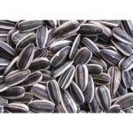 44672 8010100110242 semi di girasole 250g