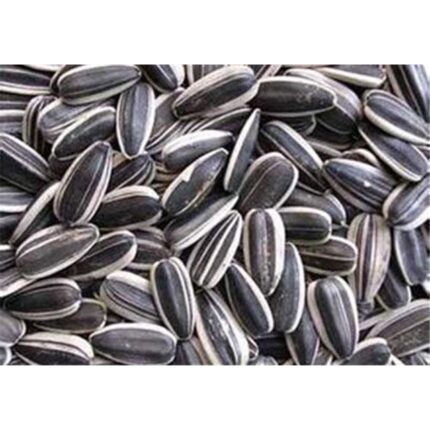44672 8010100110242 semi di girasole 250g