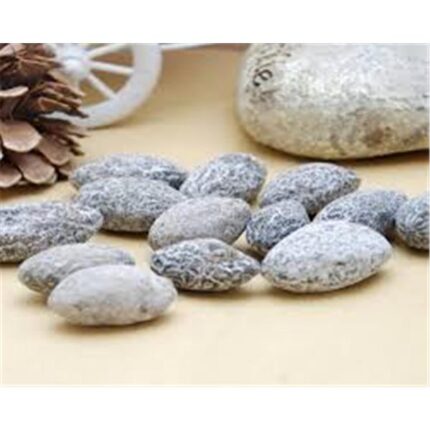 44765 6921757584381 bichike snack di olive 230g yanjin ganlan