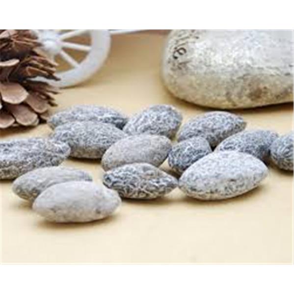 rbs44765f.jpg 44765 6921757584381 bichike snack di olive 230g yanjin ganlan