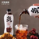 44806 6970399921559 bevanda al gusto prugna yuanqishui yqsl 480ml