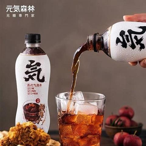 rbs44806f.jpg 44806 6970399921559 bevanda al gusto prugna yuanqishui yqsl 480ml