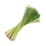 44873 00200421200 lemon grass fresco citronella 100g