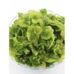 46073 9100000460734 lattuga cinese secca wosungan 250g