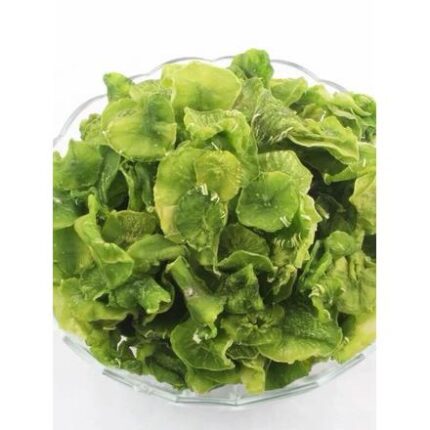 46073 9100000460734 lattuga cinese secca wosungan 250g