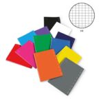 46140 8005235184756 quaderno pigna monocromo 5mm a5 42ff