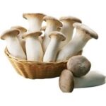 46184 6944546136998 funghi king oyster yongjia 200g