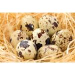 47278 8017378000053 uova di quaglia 18pz