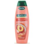 48121 8714789880501 80388 palmolive sh.2in1 hyd.