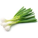48550 9100000485508 cipollina fresca 14 mazzi