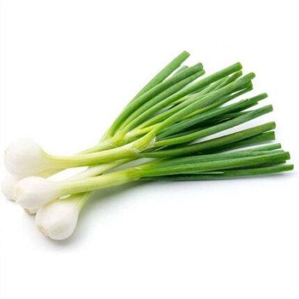 48550 9100000485508 cipollina fresca 14 mazzi