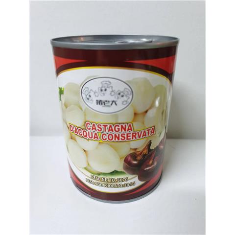 rbs51457f.jpg 51457 6900691211027 castagna d'acqua conservata 567g