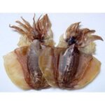 56424 6925599700749 moyugan seppia del pacifico congelato 500g