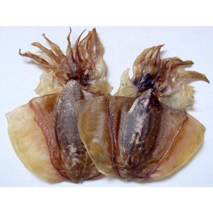 56424 6925599700749 moyugan seppia del pacifico congelato 500g