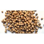 56614 8917686626665 semi di coriandolo 70g