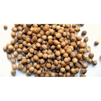 56614 8917686626665 semi di coriandolo 70g