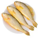 56633 6925599701456 haimei corvina oceanica congelata 3pz sea world 750g