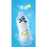 57504 6970399926295 bevanda al gusto pompermo sale marino yuanqishui tqsl 480ml