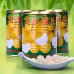 60158 8719497398713 royal orient longan in sciroppo 230g