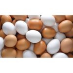 60613 8006473022107 uova 6pz fresche
