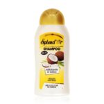 60980 8003510021567 0073399 splendor sh.cocco nutr ml300