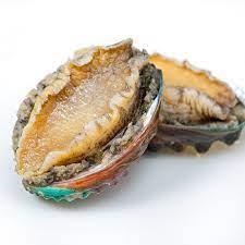 62621 9100000626215 abalone baoyu congelato 12pz 1kg