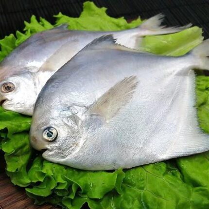 62871 6971867970406 jinri fieto conglato changyu 700g