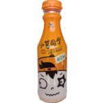 6609 6925303754884 the verde gusto arancia 480ml