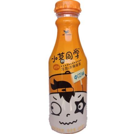 6609 6925303754884 the verde gusto arancia 480ml