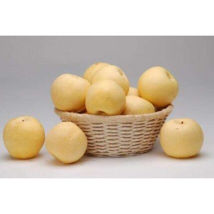 72904 4898506838021 longan fresco 1kg