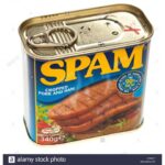 7515 376002095710 SPAM01 spam chopped pork and ham 340g